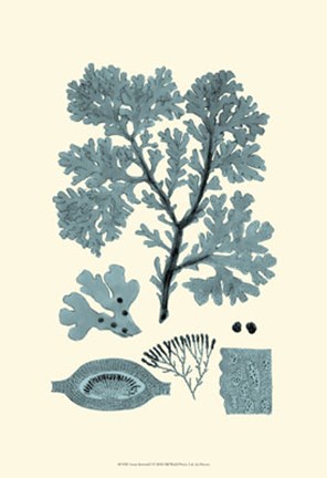 Framed Azure Seaweed I Print
