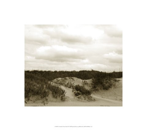 Framed Ocracoke Dune Study II Print