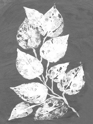 Framed Frosty Philodendron II Print