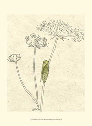 Framed Summer Chorus I Print