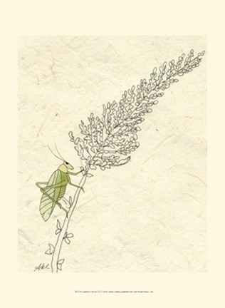 Framed Summer Chorus III Print