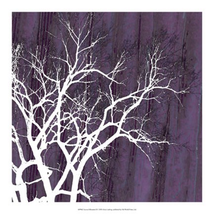 Framed Aurora Silhouette II Print