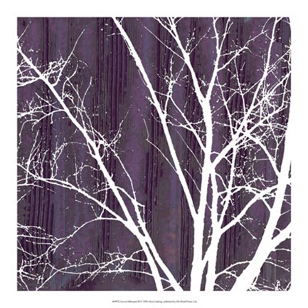 Framed Aurora Silhouette III Print