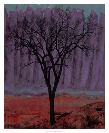 Framed Aurora I Print