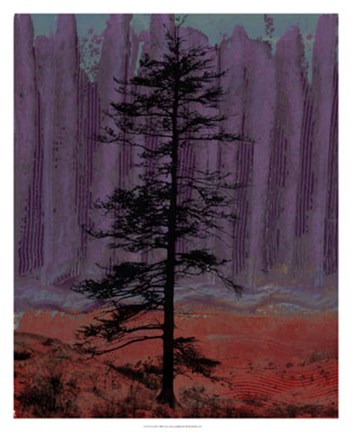 Framed Aurora II Print