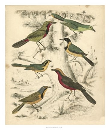 Framed Avian Habitat III Print