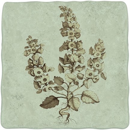 Framed Imperial Munting II Print