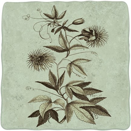 Framed Imperial Munting III Print