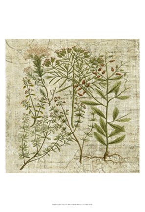 Framed Garden Verses I Print