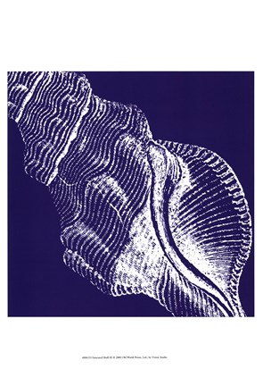 Framed Saturated Shells III Print