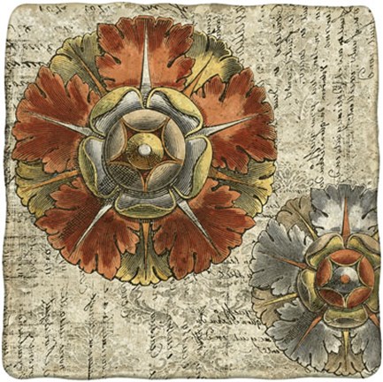 Framed Vintage Rosette IV Print