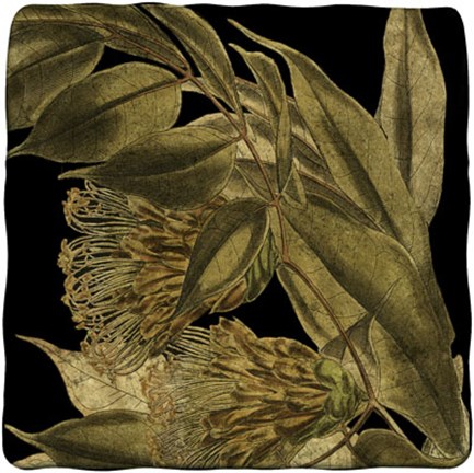 Framed Tranquil Tropical Leaves VI Print