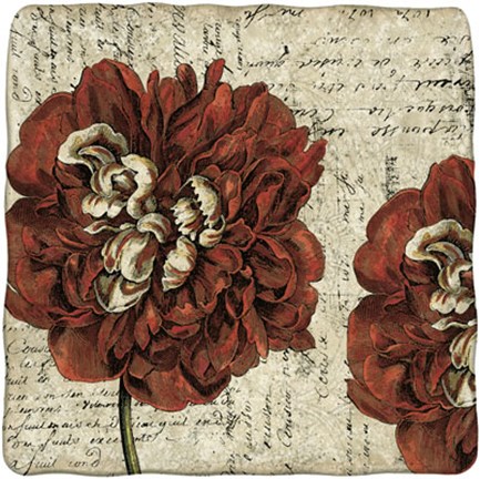 Framed Vintage Composition I Print