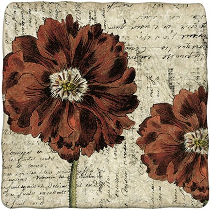 Framed Vintage Composition II Print