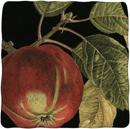 Framed Dramatic Apple Print