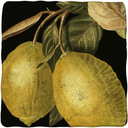 Framed Dramatic Lemon Print