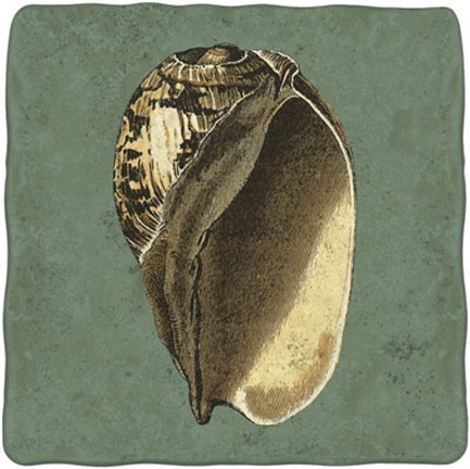 Framed Oceans Treasure II Print