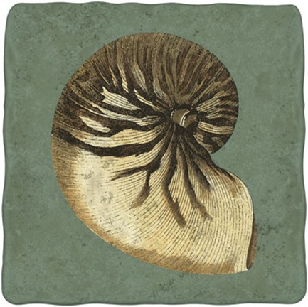 Framed Oceans Treasure III Print