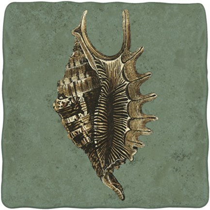 Framed Oceans Treasure V Print