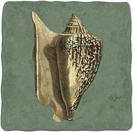 Framed Oceans Treasure VI Print