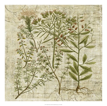 Framed Garden Verses I Print