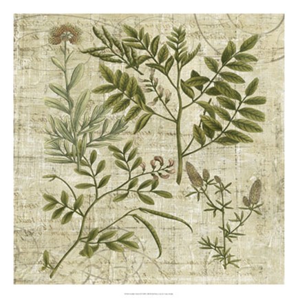 Framed Garden Verses II Print