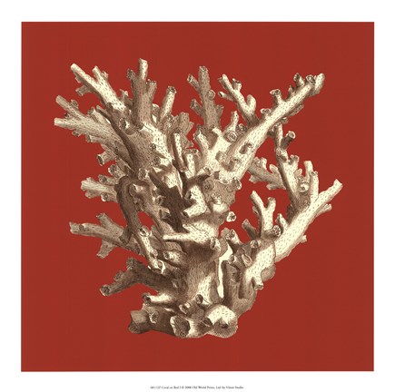 Framed Coral on Red I Print