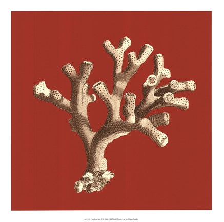 Framed Coral on Red II Print