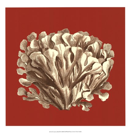 Framed Coral on Red III Print