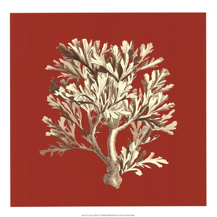 Framed Coral on Red IV Print