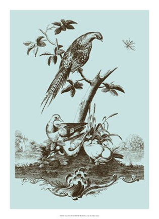 Framed Avian Toile III Print
