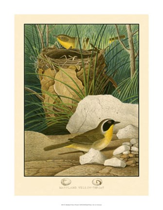 Framed Maryland Yellow-Throat Print