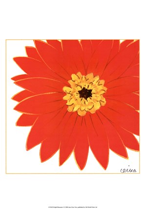 Framed Bright Blossoms I Print