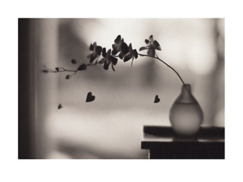 Framed Orchids with Three Hearts Print