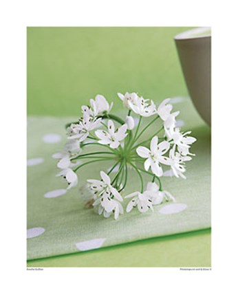 Framed Printemps en vert &amp; blanc II Print