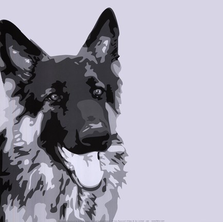 Framed Shepherd Print