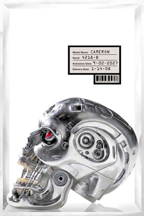 Framed Terminator: The Sarah Connor Chronicles - style BJ Print