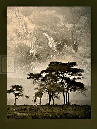Framed Tanzanian Landscape Print