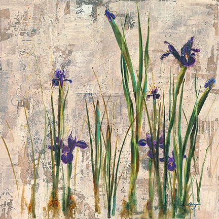 Framed Iris Mist Print