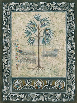 Framed Fresco Botanica IV Print