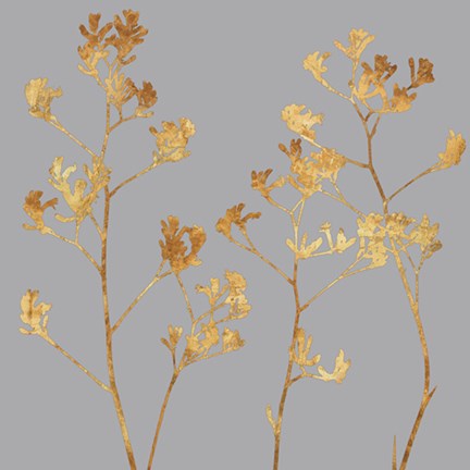 Framed Gold at Dusk II Print