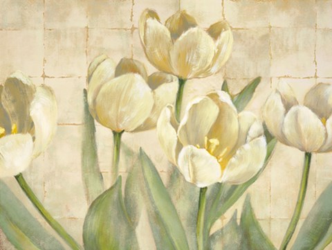Framed White Tulips on Ivory Print