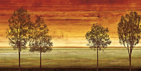 Framed Sunset Vista II Print