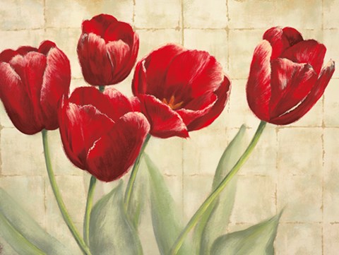 Framed Red Tulips on Ivory Print