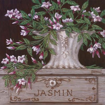 Framed Paquet De Jasmin Print