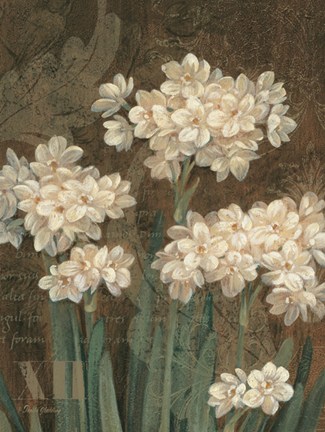 Framed Petit Jardin Narcissus Print
