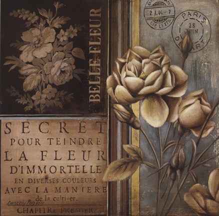 Framed Belle Fleur I Print