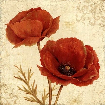 Framed Poppy Bouquet I Print