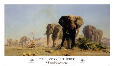 Framed Ivory Is Theirs Print