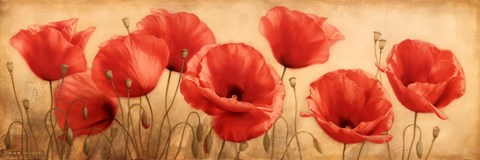 Framed Poppies Grace I Print